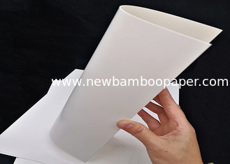 China C1S White FBB Paper Ivory Board for Packing and Printing supplier