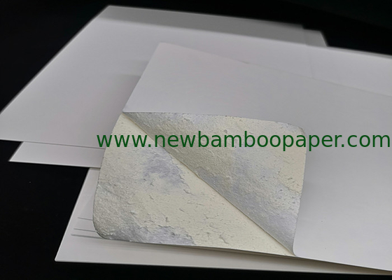 C1S White FBB Paper Ivory Board for Packing and Printing supplier