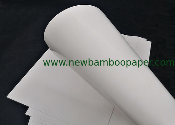 C1S White FBB Paper Ivory Board for Packing and Printing supplier