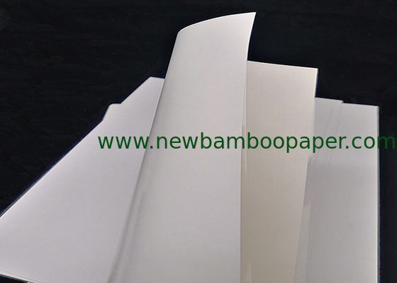 C1S White FBB Paper Ivory Board for Packing and Printing supplier