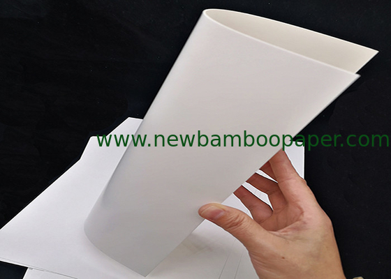 C1S White FBB Paper Ivory Board for Packing and Printing supplier