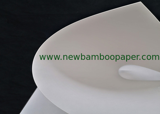 Clean Appearance C1S Coated White Cardboard Paper FBB Ivory Board supplier