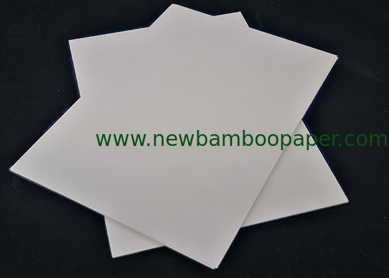 Clean Appearance C1S Coated White Cardboard Paper FBB Ivory Board supplier