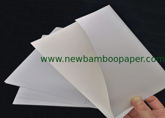 Clean Appearance C1S Coated White Cardboard Paper FBB Ivory Board supplier