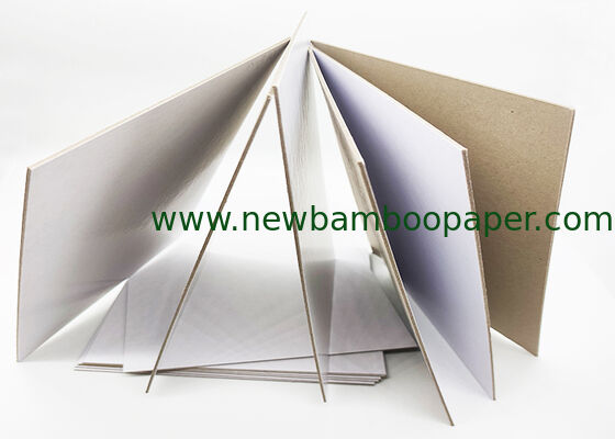 Coated Duplex Board Grey Back White Paper for Packaging Bags and Packaging Boxes supplier