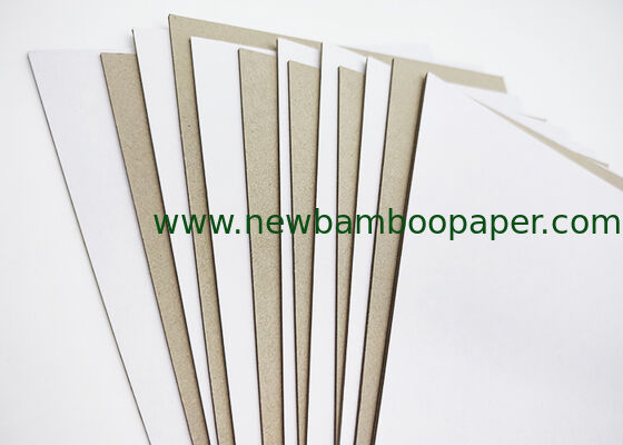 Coated Duplex Board Grey Back White Paper for Packaging Bags and Packaging Boxes supplier